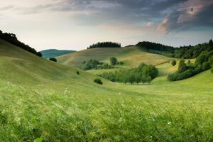 green hills with forest under cloudy sky during daytime