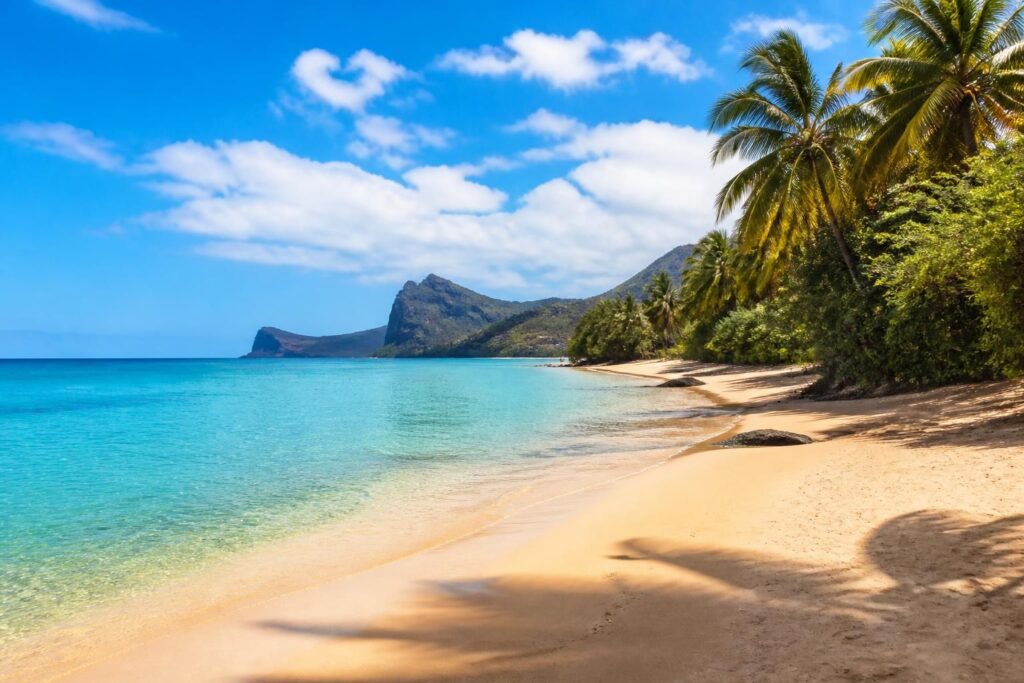 découvrez les plus belles plages de la réunion et les meilleurs endroits pour vous baigner dans un cadre paradisiaque alliant nature et détente.
