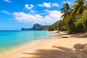 découvrez les plus belles plages de la réunion et les meilleurs endroits pour vous baigner dans un cadre paradisiaque alliant nature et détente.