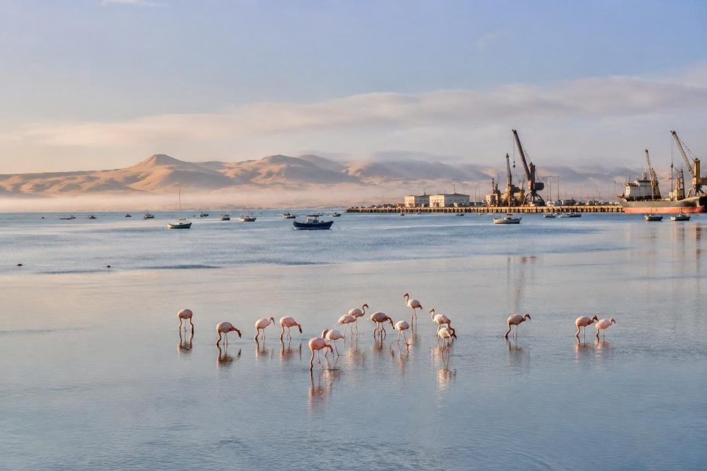 découvrez walvis bay, en namibie : lagon peuplé de flamants roses, port animé, dunes et activités incontournables entre mer et désert.
